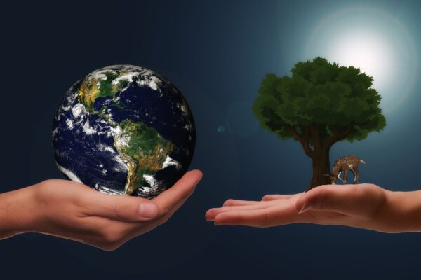 Two hands hold a globe with a tree emerging from it, illustrating the harmony between environmental stewardship and global awareness.