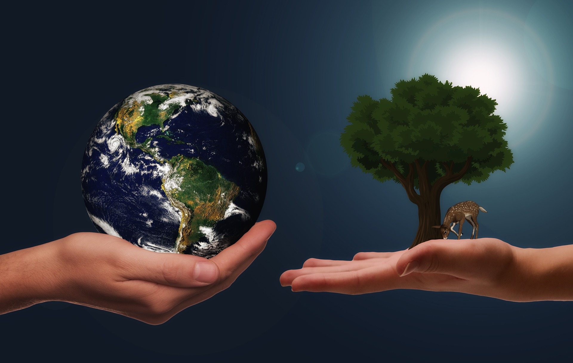 Two hands hold a globe with a tree emerging from it, illustrating the harmony between environmental stewardship and global awareness.