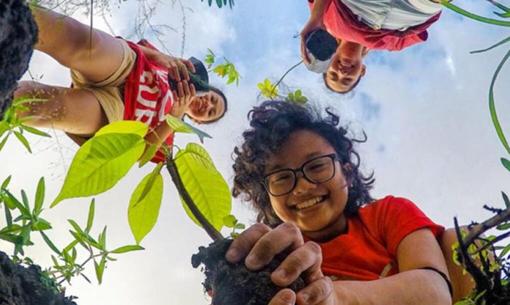 Two children are crouched down, each grasping a young plant, actively participating in planting activities outdoors.